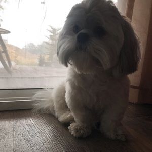 Meet your Posher, Veronic